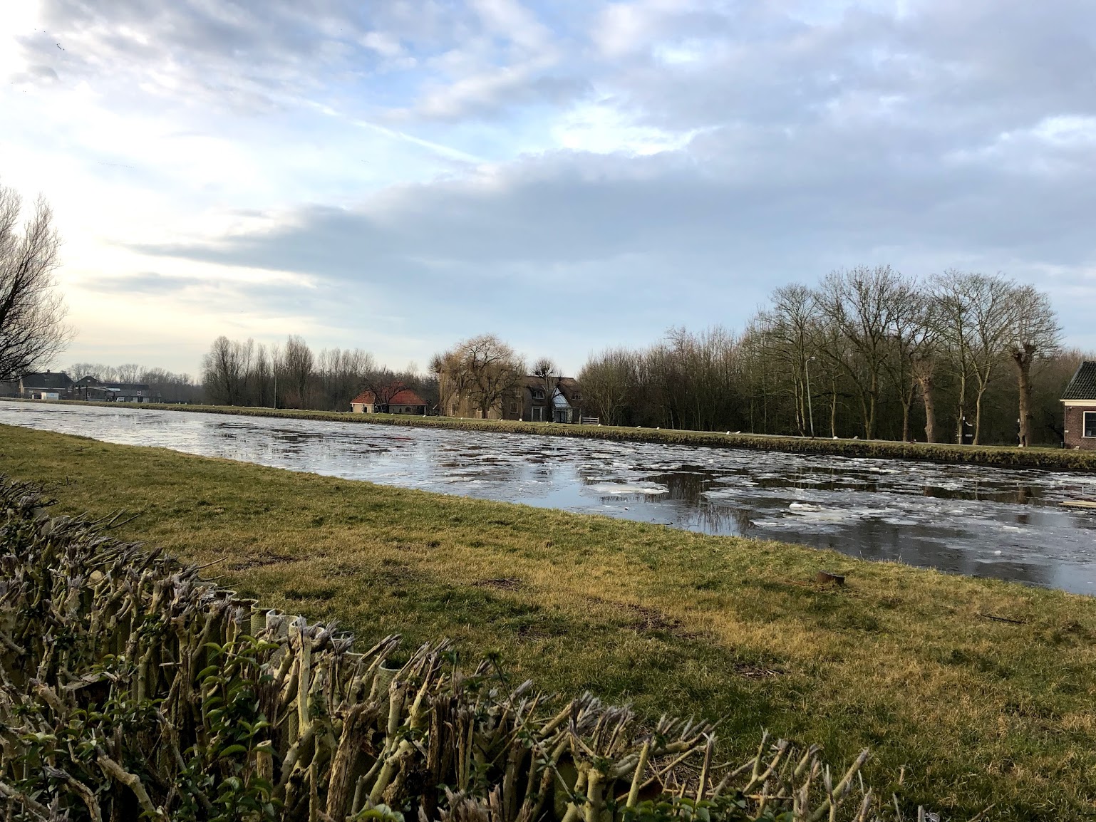 The Schie, the river we rowed on at Proteus, covered in chunks of ice.